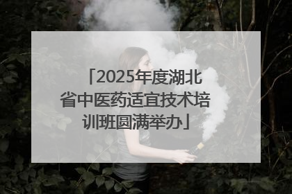 2025年度湖北省中医药适宜技术培训班圆满举办
