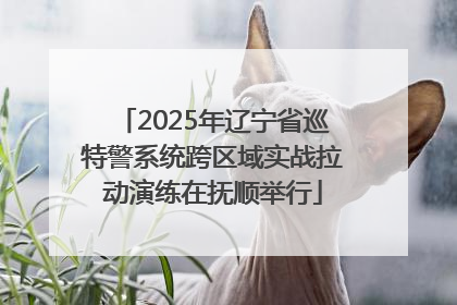 2025年辽宁省巡特警系统跨区域实战拉动演练在抚顺举行