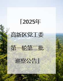 2025年高新区党工委第一轮第二批巡察公告