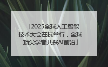 2025全球人工智能技术大会在杭举行，全球顶尖学者共探AI前沿