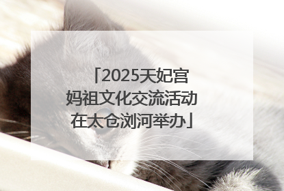 2025天妃宫妈祖文化交流活动在太仓浏河举办