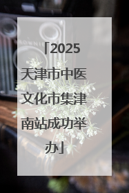 2025天津市中医文化市集津南站成功举办