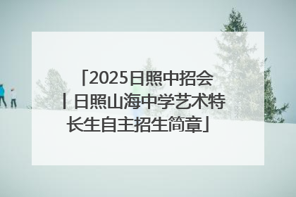 2025日照中招会丨日照山海中学艺术特长生自主招生简章