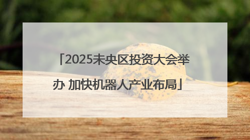 2025未央区投资大会举办 加快机器人产业布局