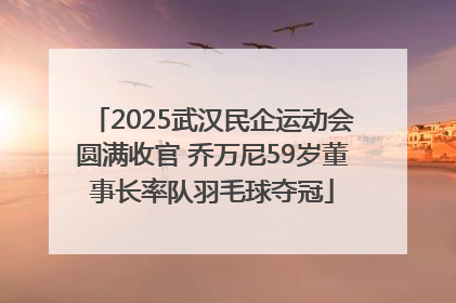 2025武汉民企运动会圆满收官 乔万尼59岁董事长率队羽毛球夺冠