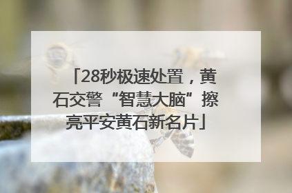 28秒极速处置，黄石交警“智慧大脑”擦亮平安黄石新名片