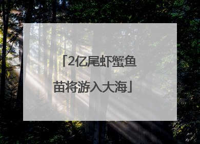 2亿尾虾蟹鱼苗将游入大海