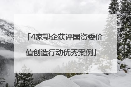 4家鄂企获评国资委价值创造行动优秀案例