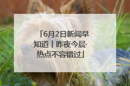 6月2日新闻早知道丨昨夜今晨·热点不容错过