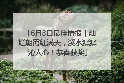 6月8日最佳情报｜灿烂朝霞红满天，溪水潺潺沁人心！恭喜获奖