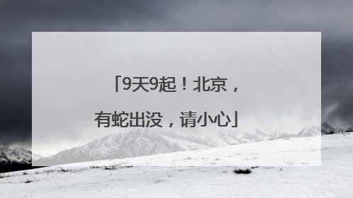 9天9起！北京，有蛇出没，请小心