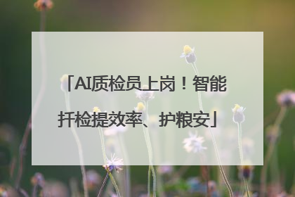 AI质检员上岗！智能扦检提效率、护粮安