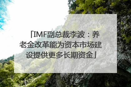 IMF副总裁李波：养老金改革能为资本市场建设提供更多长期资金