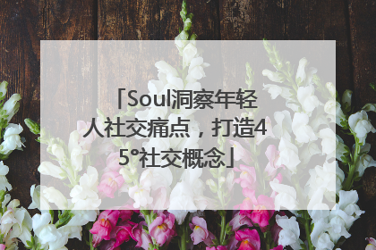 Soul洞察年轻人社交痛点，打造45°社交概念